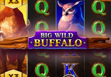 Автомат Big Wild Buffalo в казино Рамен